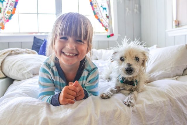criança deitada na cama com o cão ao lado